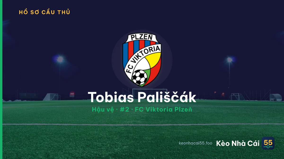 Tobias Pališčák — FC Viktoria Plzeň