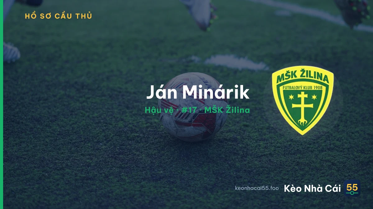 Ján Minárik — MŠK Žilina