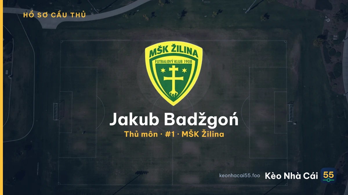 Jakub Badžgoń — MŠK Žilina