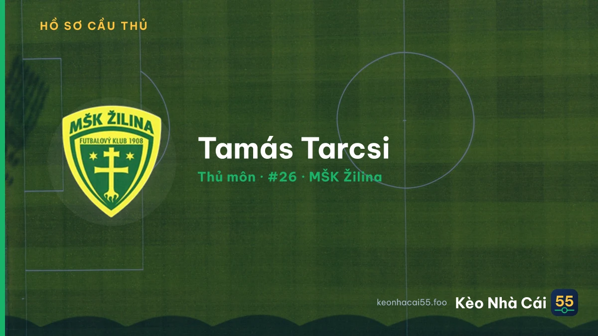Tamás Tarcsi — MŠK Žilina