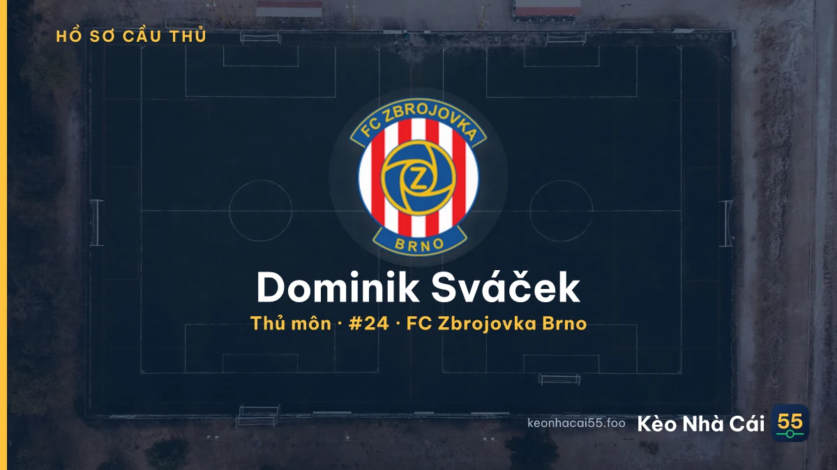 Dominik Sváček — FC Zbrojovka Brno
