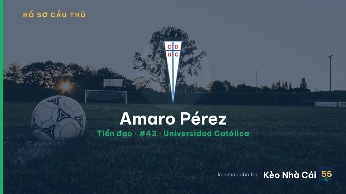 Amaro Pérez — Universidad Católica