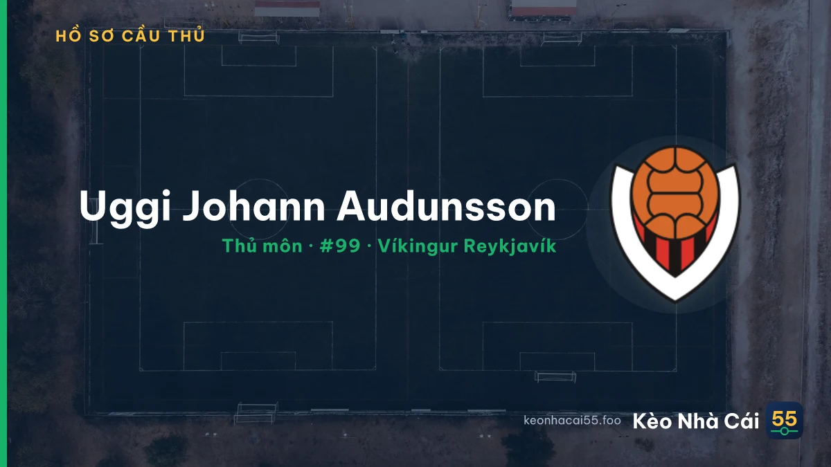 Uggi Johann Audunsson — Víkingur Reykjavík