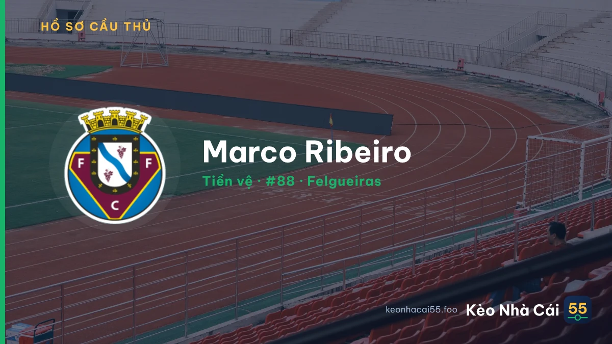 Marco Ribeiro — Felgueiras