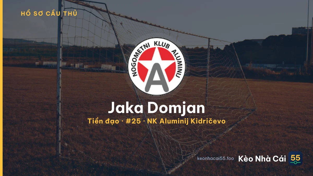 Jaka Domjan — NK Aluminij Kidričevo