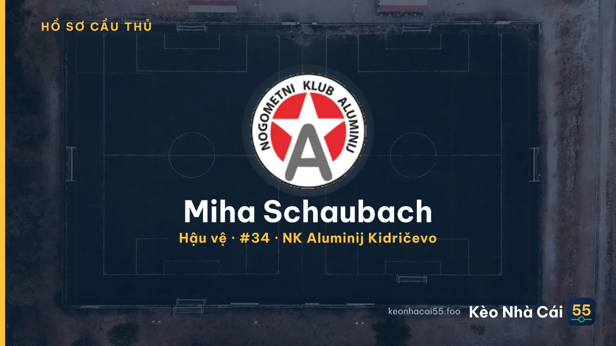 Miha Schaubach — NK Aluminij Kidričevo