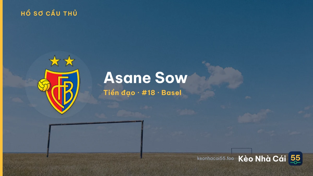 Asane Sow — Basel