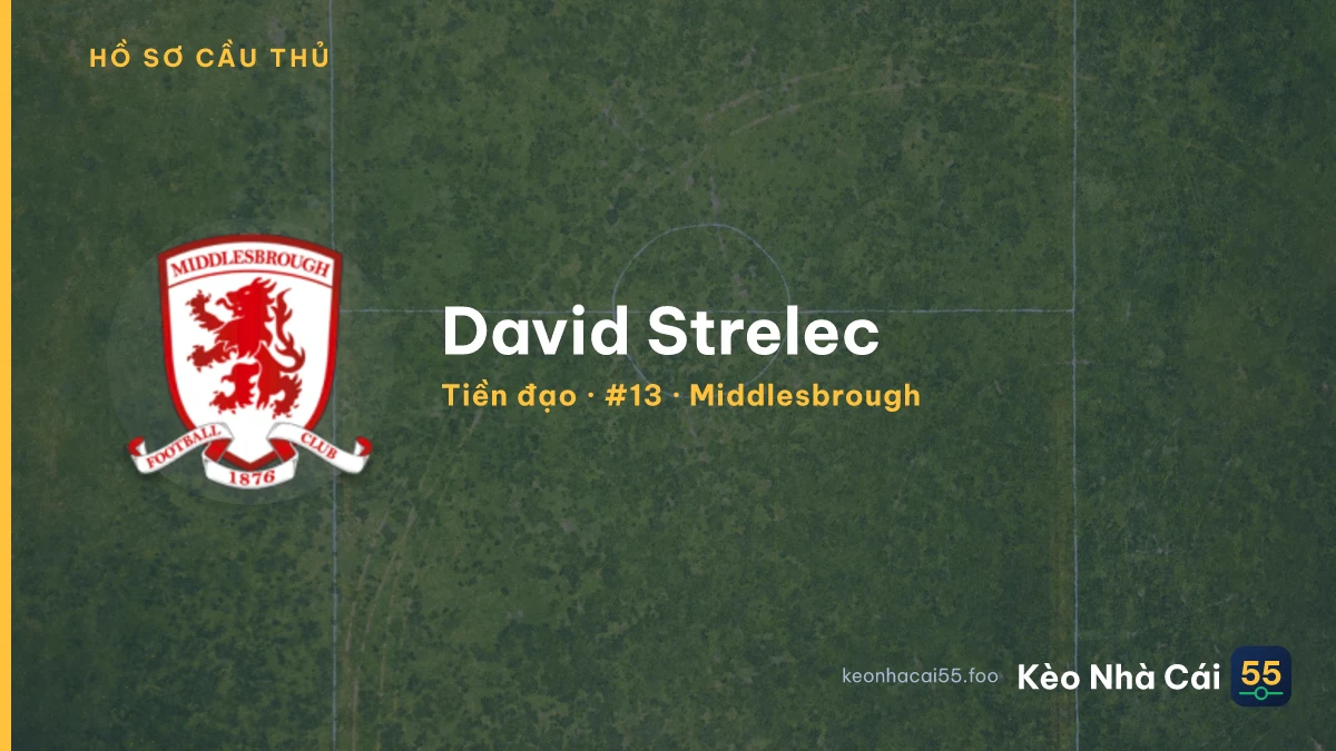 David Strelec — Middlesbrough