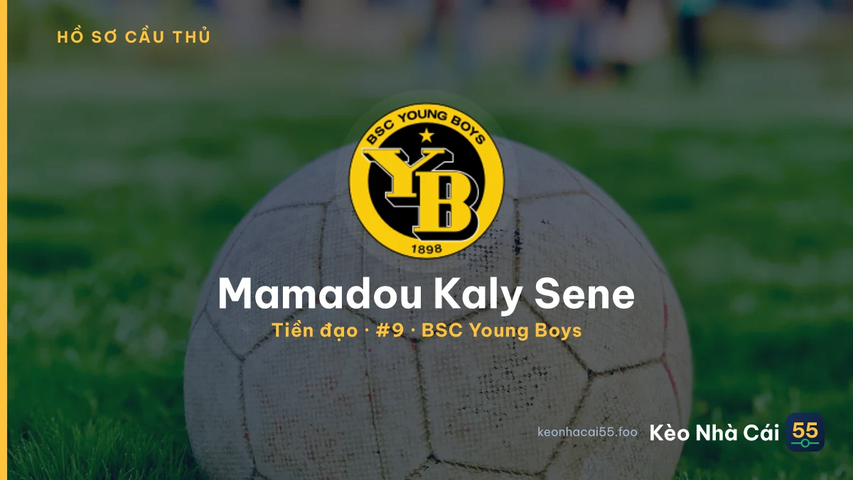 Mamadou Kaly Sene — BSC Young Boys