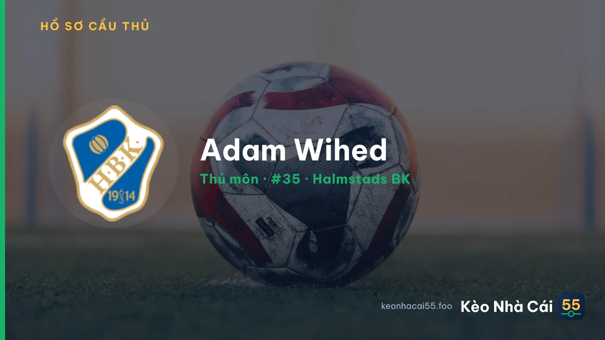 Adam Wihed — Halmstads BK