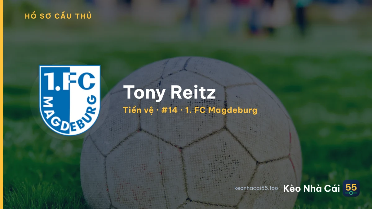 Tony Reitz — 1. FC Magdeburg