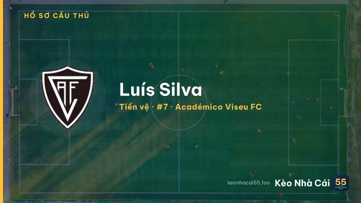 Luís Silva — Académico Viseu FC