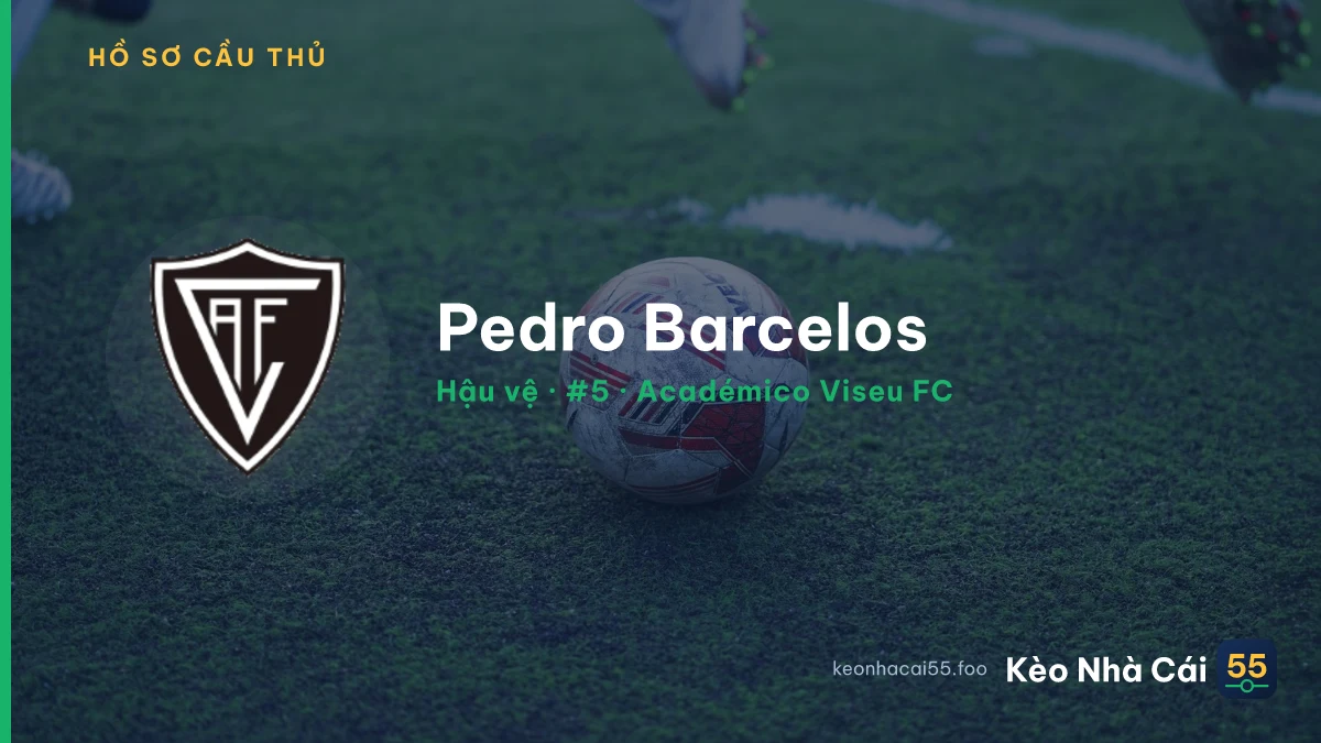 Pedro Barcelos — Académico Viseu FC