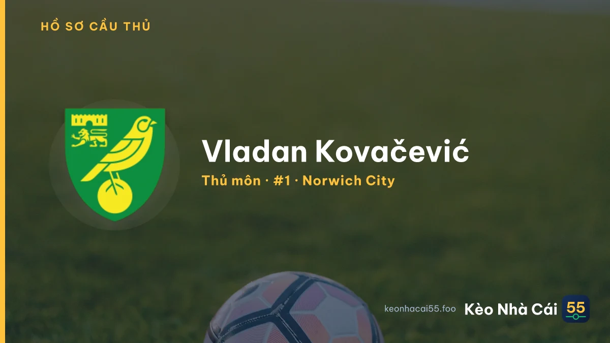 Vladan Kovačević — Norwich City