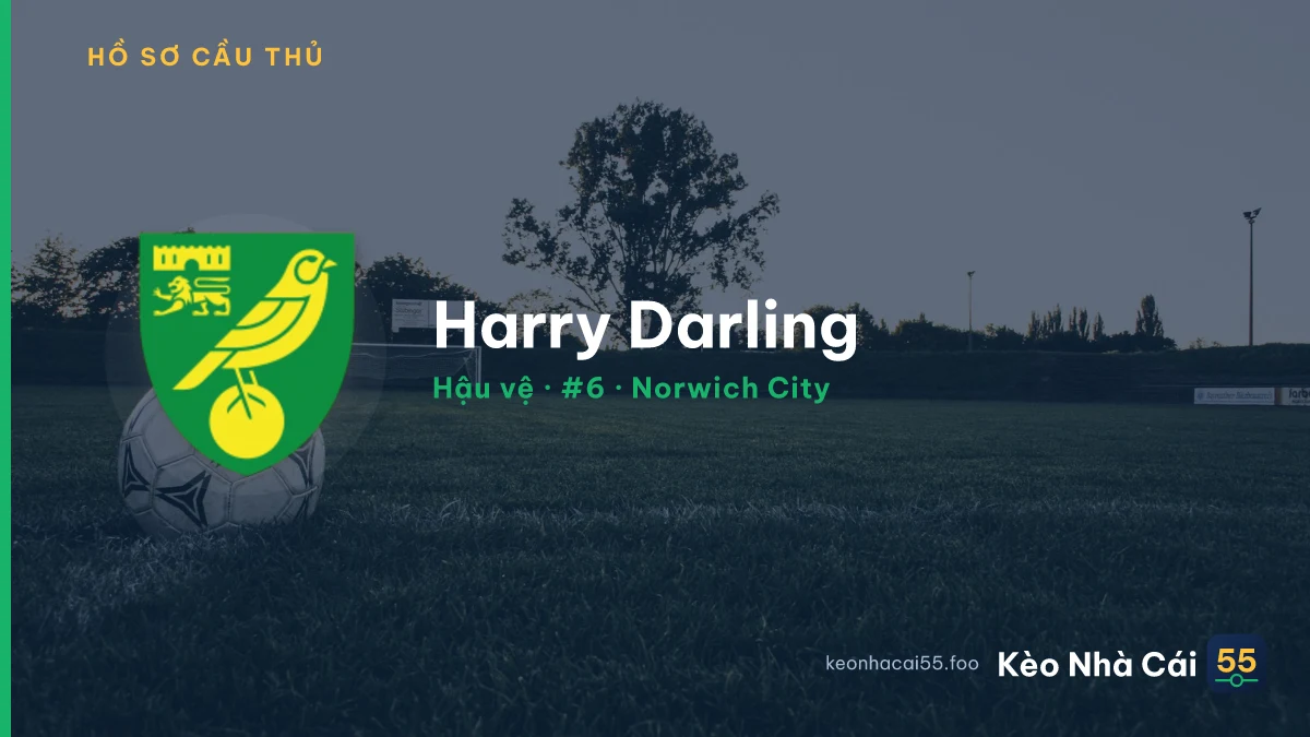Harry Darling — Norwich City