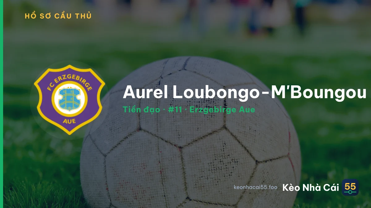 Aurel Loubongo-M'Boungou — Erzgebirge Aue