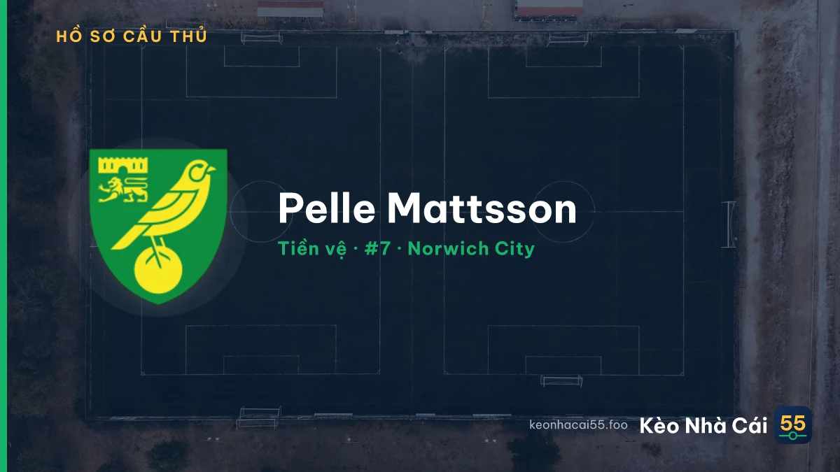 Pelle Mattsson — Norwich City