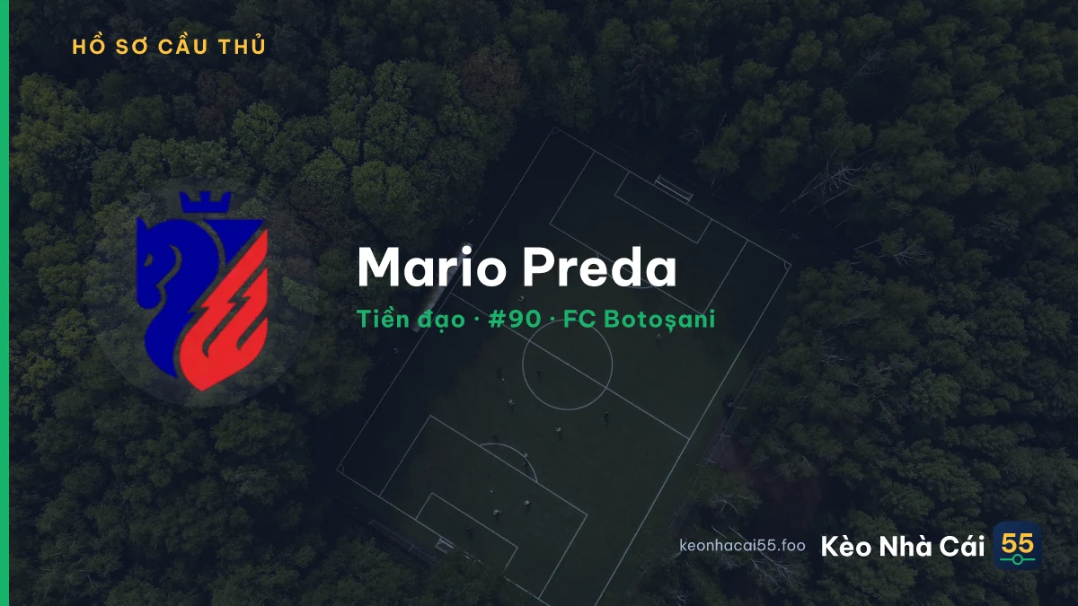 Mario Preda — FC Botoșani