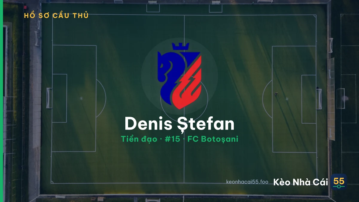 Denis Ștefan — FC Botoșani