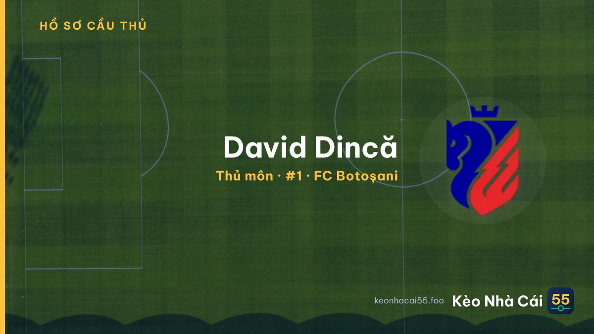 David Dincă — FC Botoșani
