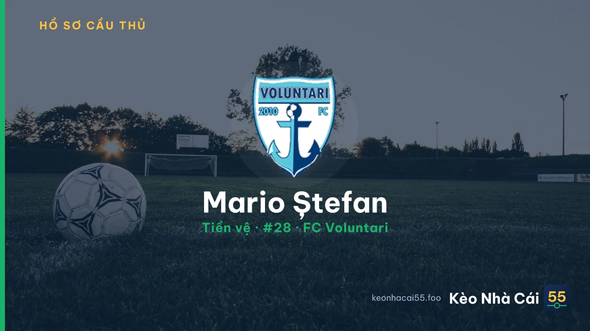 Mario Ștefan — FC Voluntari