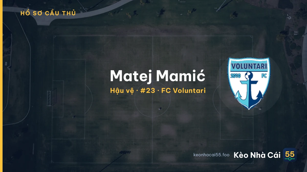 Matej Mamić — FC Voluntari