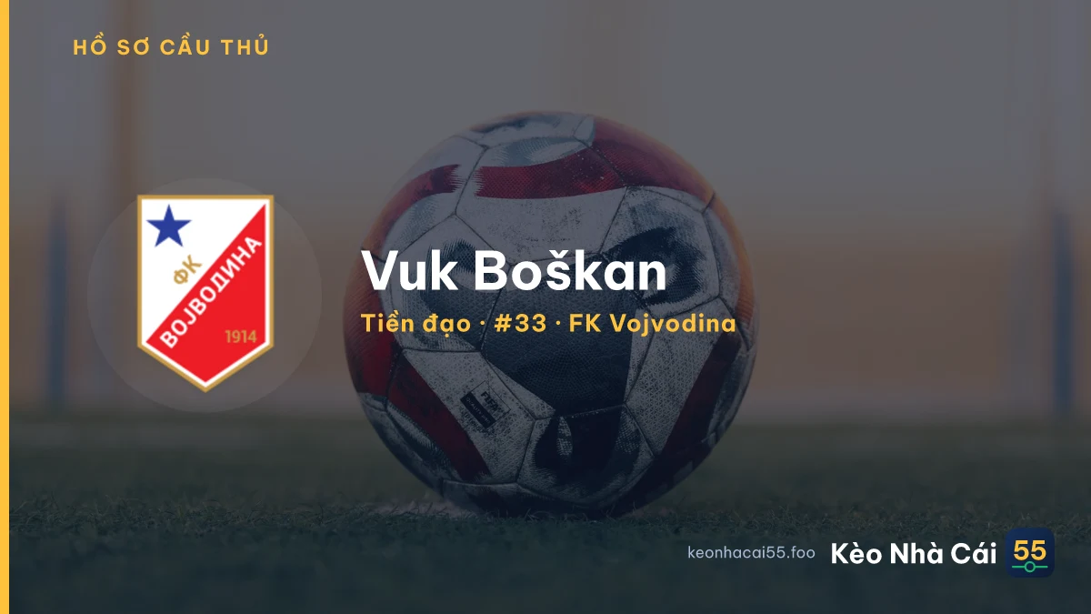Vuk Boškan — FK Vojvodina