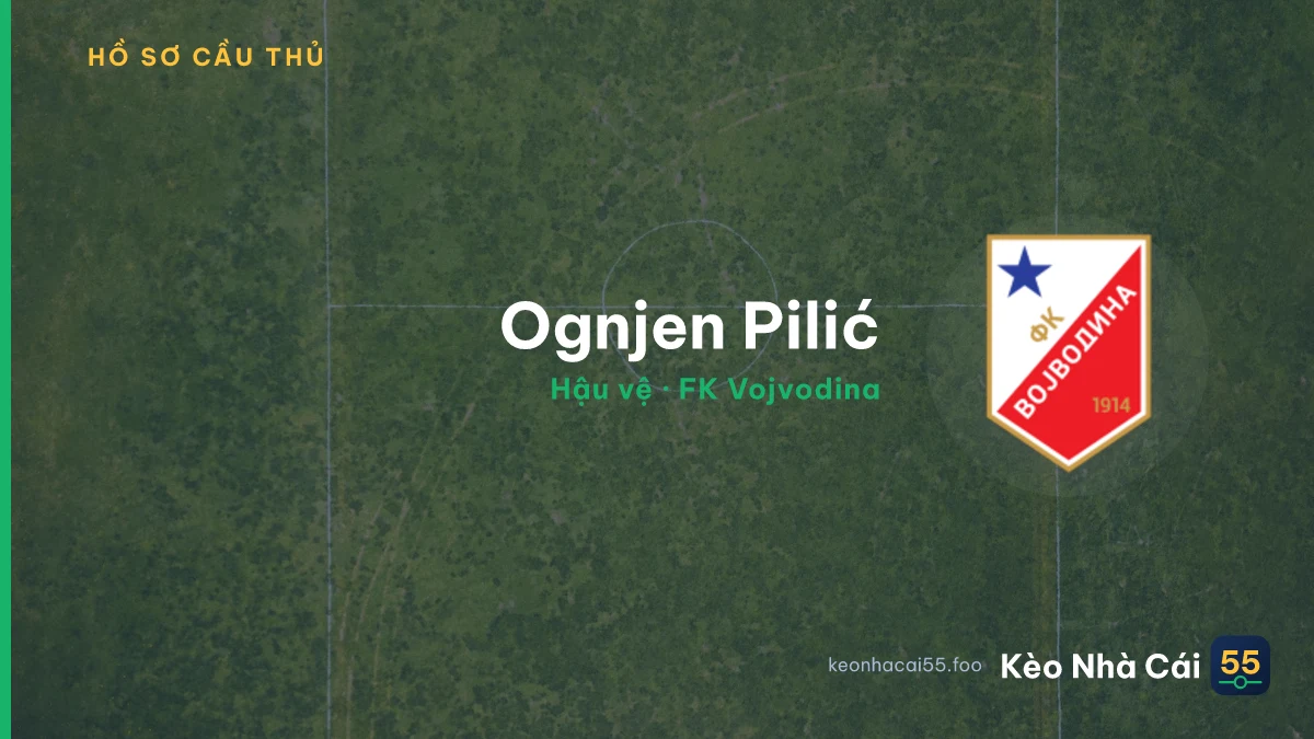 Ognjen Pilić — FK Vojvodina