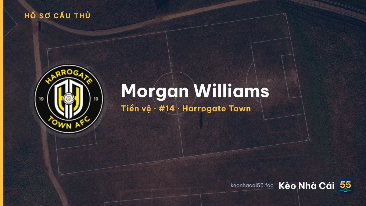 Morgan Williams — Harrogate Town