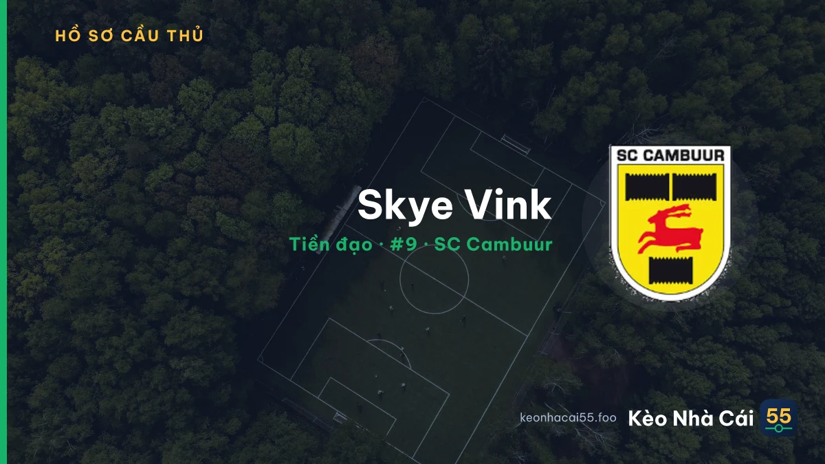 Skye Vink — SC Cambuur