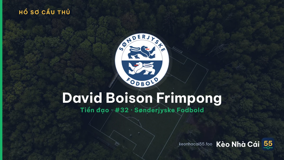 David Boison Frimpong — Sønderjyske Fodbold