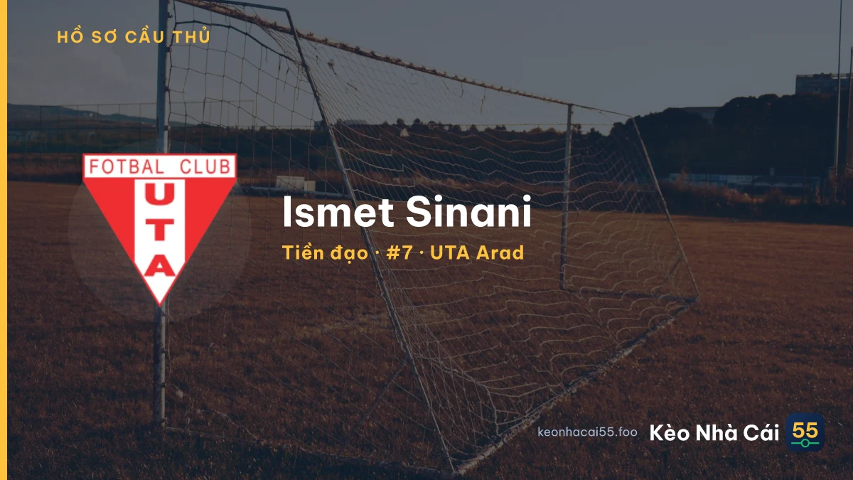 Ismet Sinani — UTA Arad