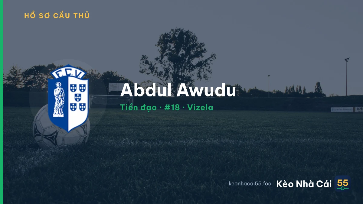 Abdul Awudu — Vizela