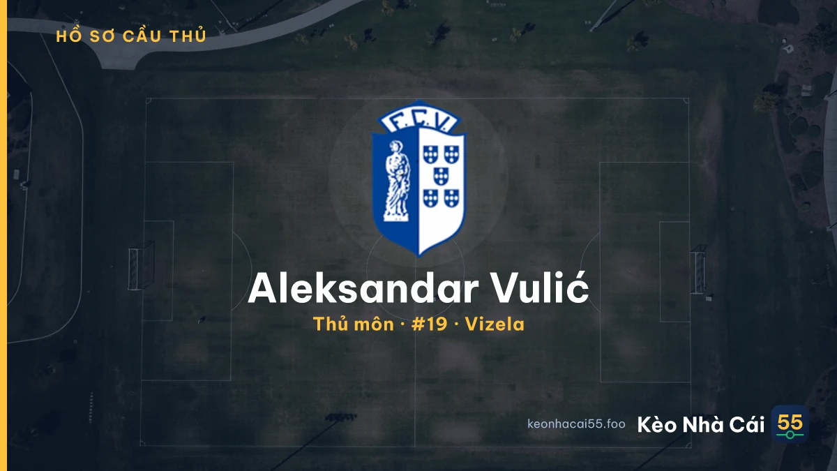 Aleksandar Vulić — Vizela