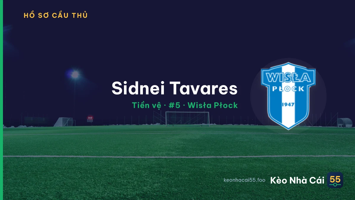 Sidnei Tavares — Wisła Płock