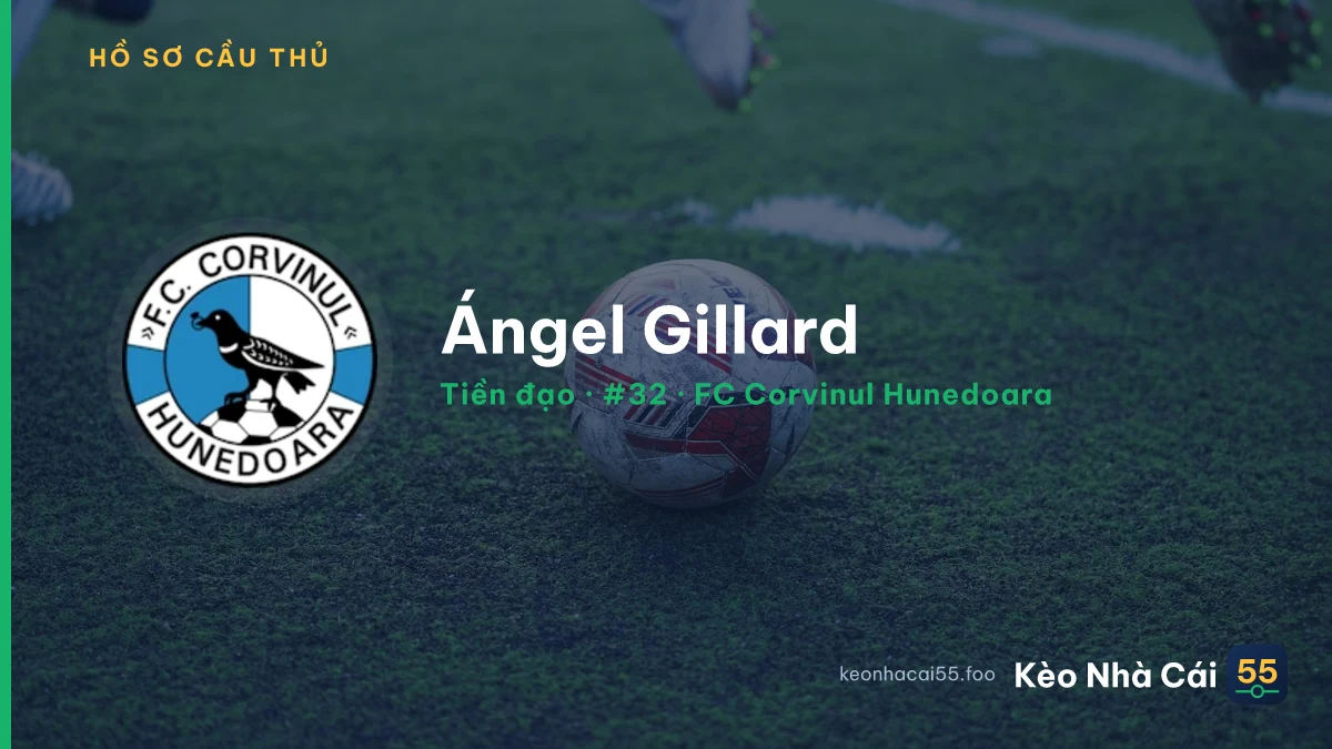 Ángel Gillard — FC Corvinul Hunedoara
