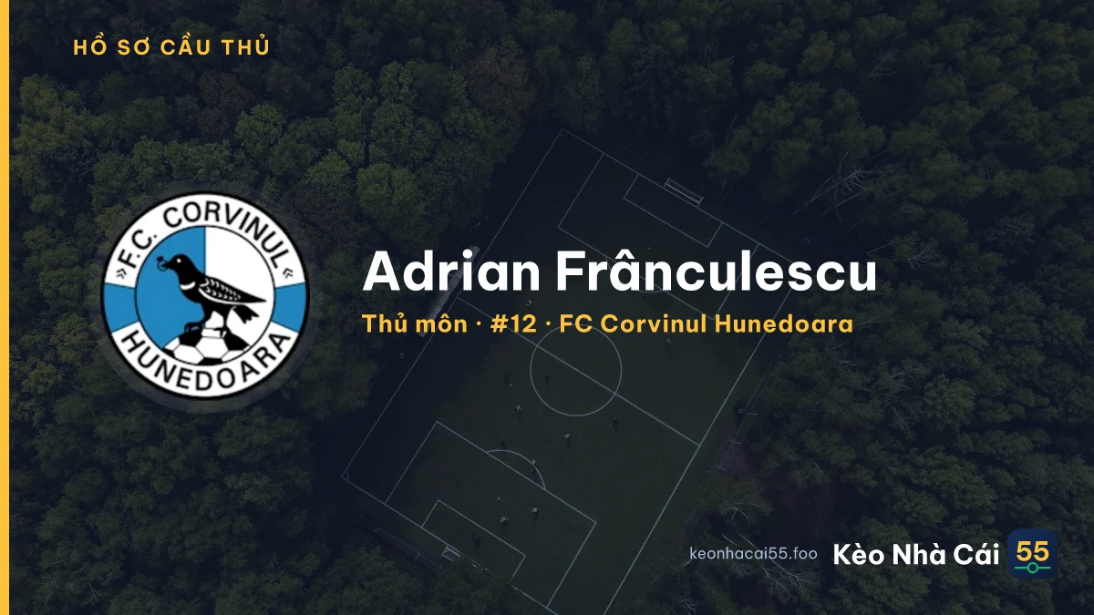 Adrian Frânculescu — FC Corvinul Hunedoara