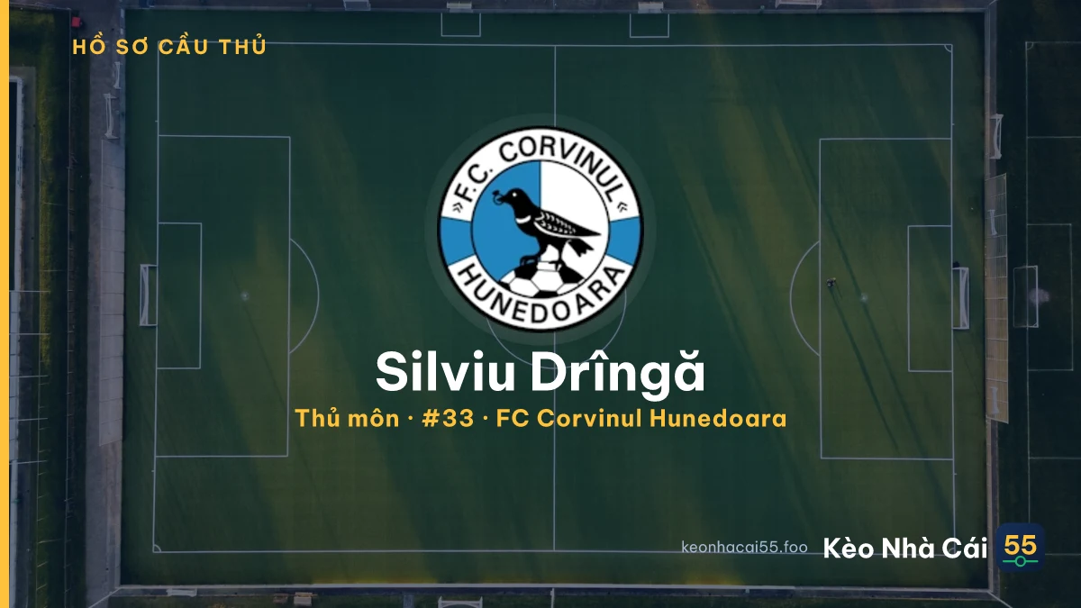 Silviu Drîngă — FC Corvinul Hunedoara