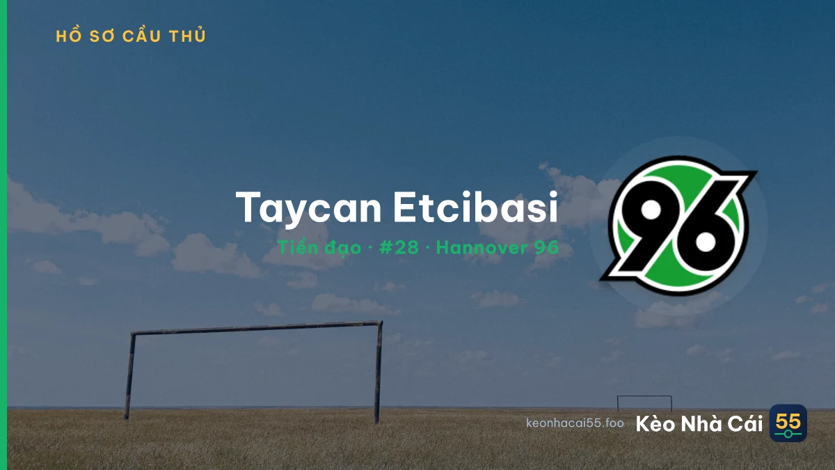 Taycan Etcibasi — Hannover 96