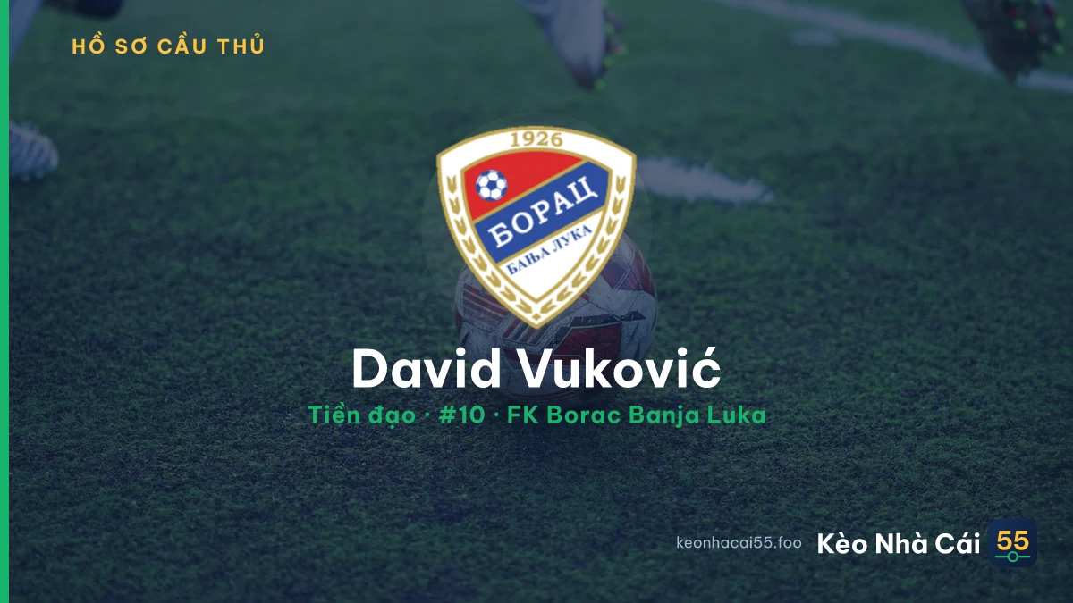 David Vuković — FK Borac Banja Luka