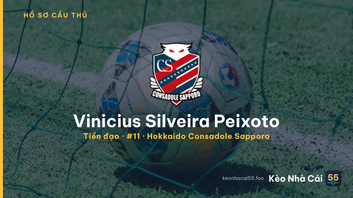 Vinicius Silveira Peixoto — Hokkaido Consadole Sapporo