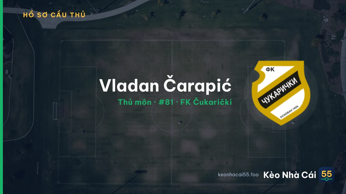 Vladan Čarapić — FK Čukarički