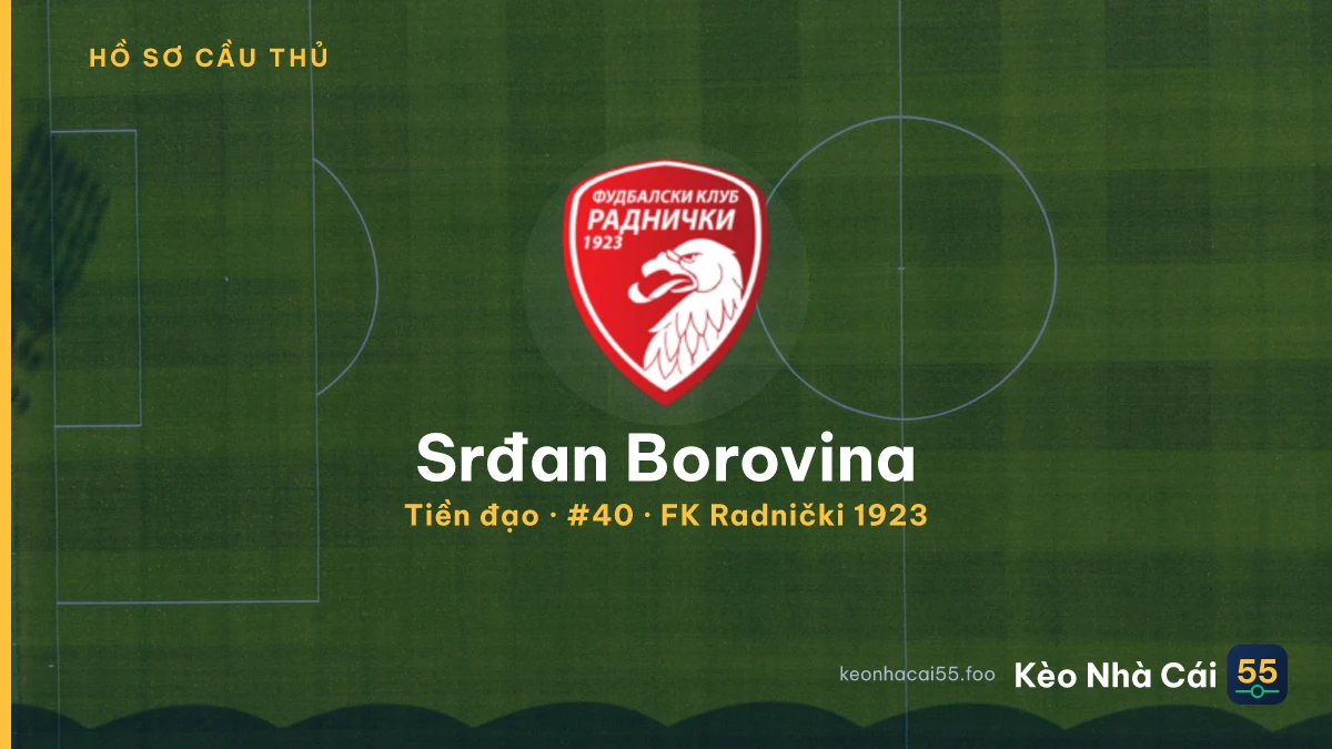 Srđan Borovina — FK Radnički 1923