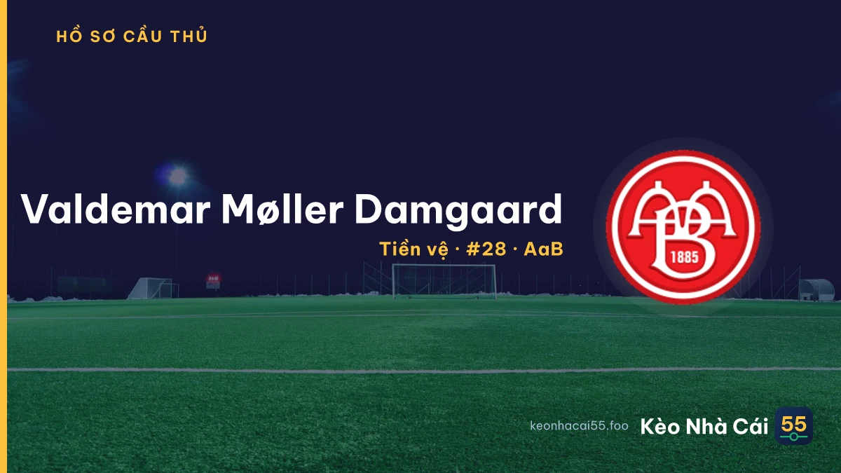Valdemar Møller Damgaard — AaB