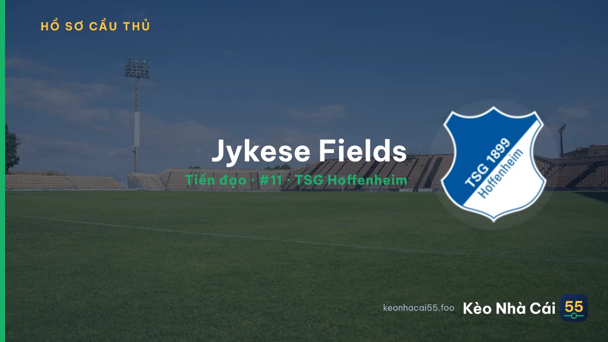 Jykese Fields — TSG Hoffenheim