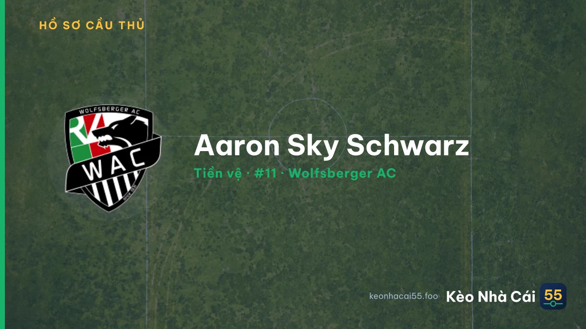 Aaron Sky Schwarz — Wolfsberger AC