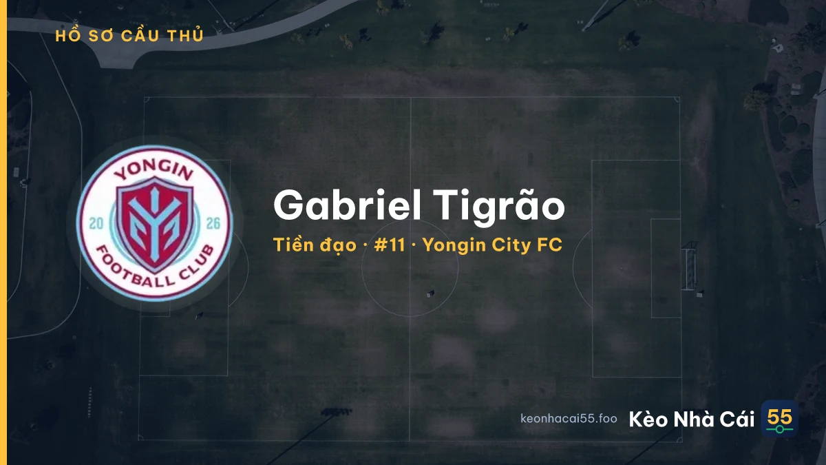 Gabriel Tigrão — Yongin City FC