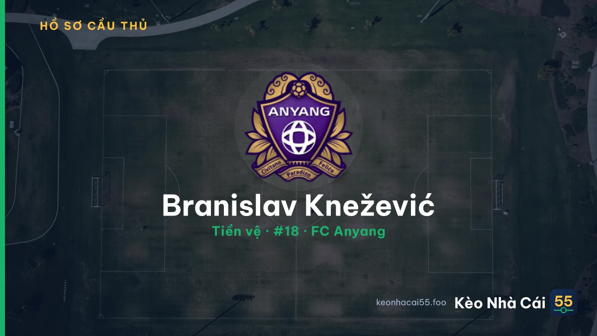 Branislav Knežević — FC Anyang