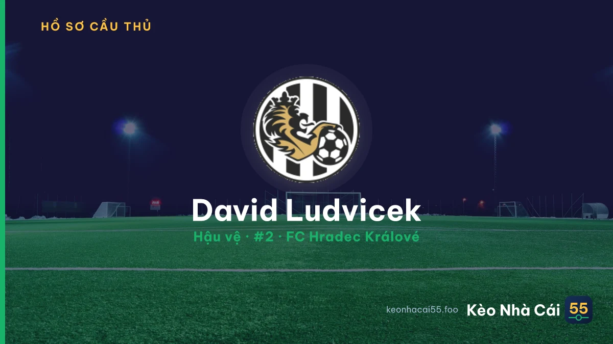 David Ludvicek — FC Hradec Králové