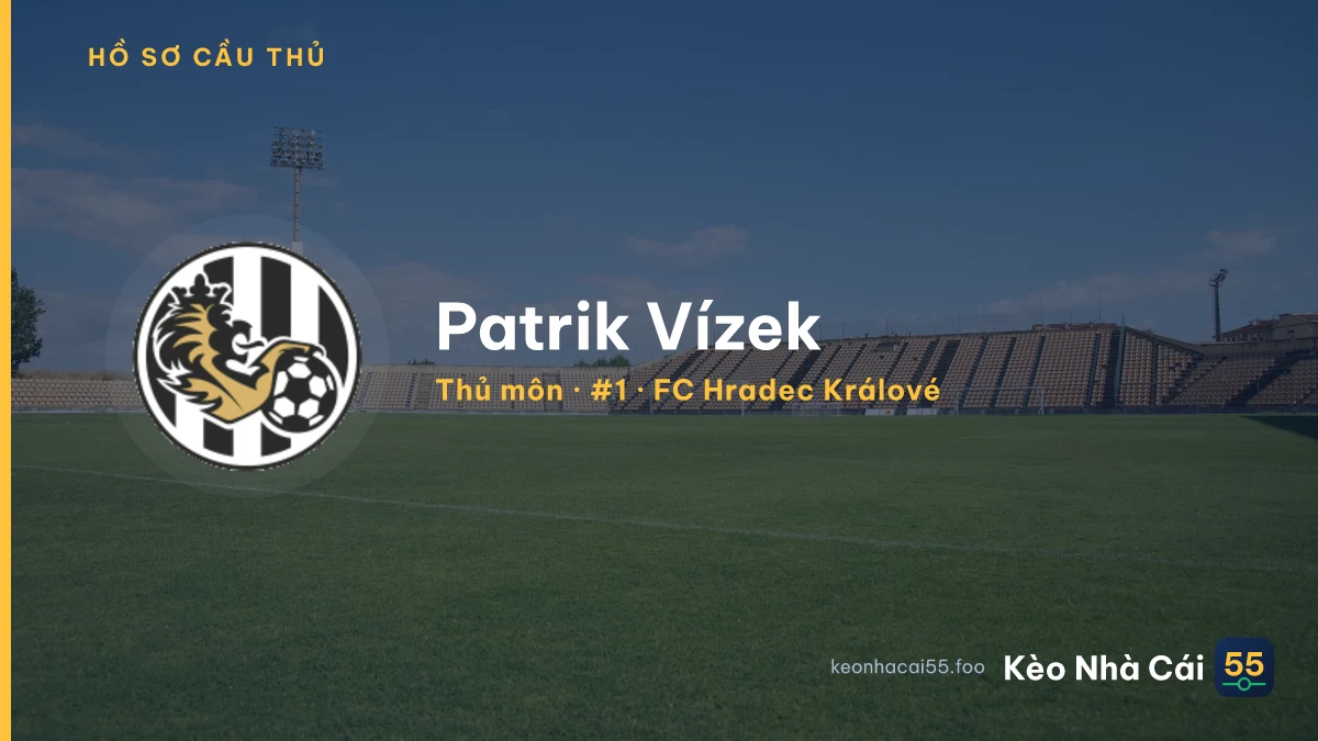 Patrik Vízek — FC Hradec Králové